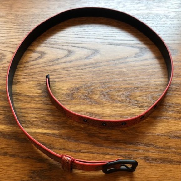 Bottega Veneta NWOT Python Skinny Belt main image 6